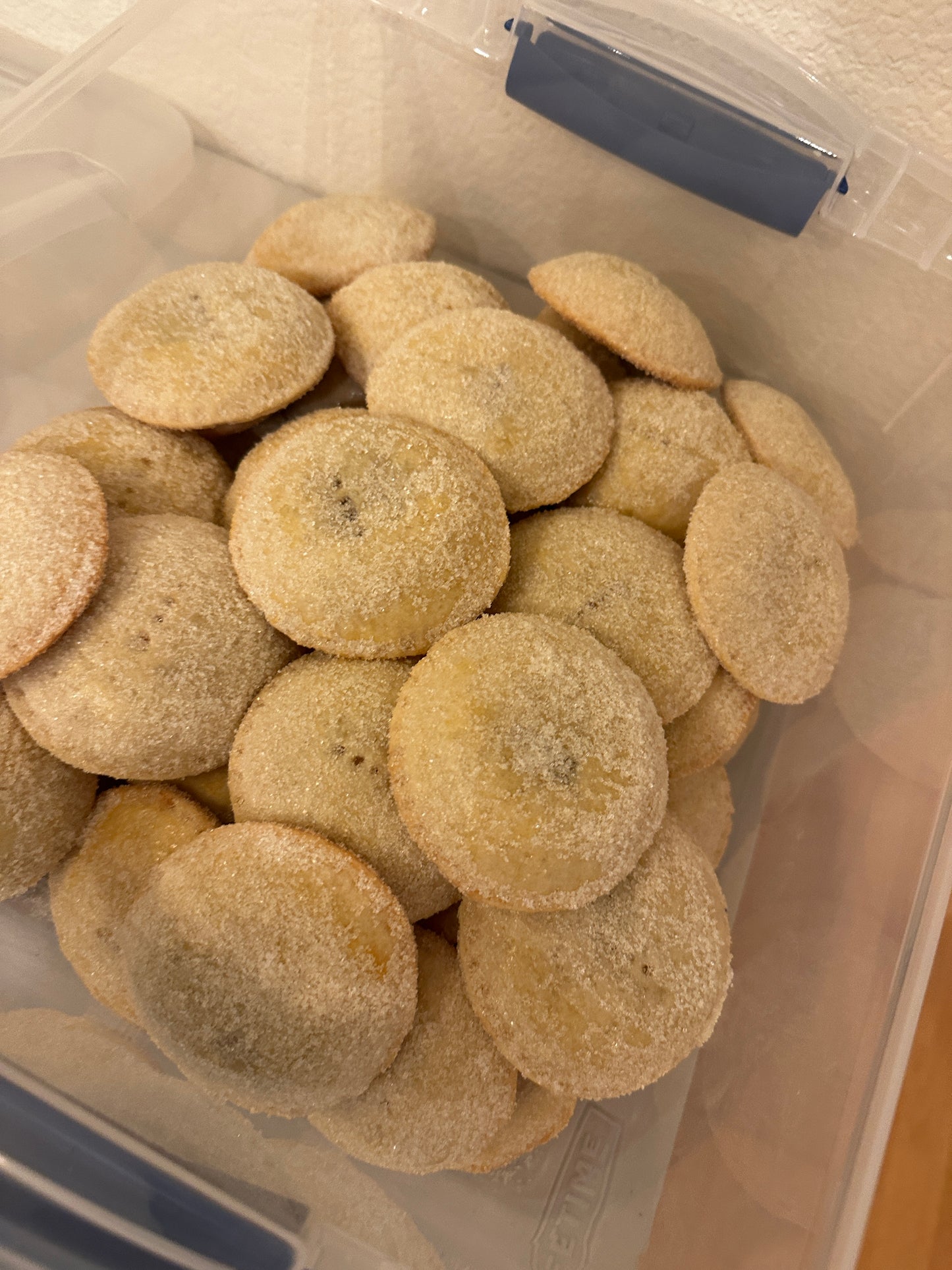 16 x Mini Coyotas 3 pc