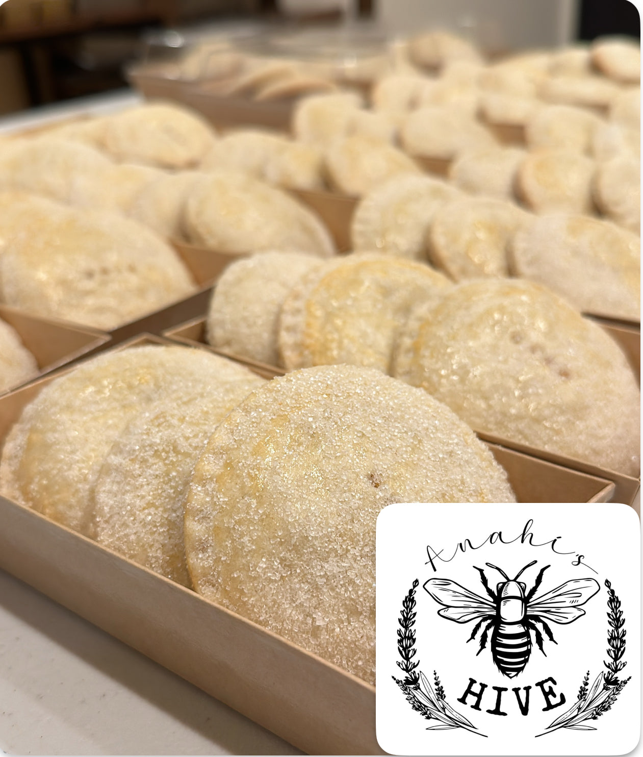 Mini Coyotas Dozen